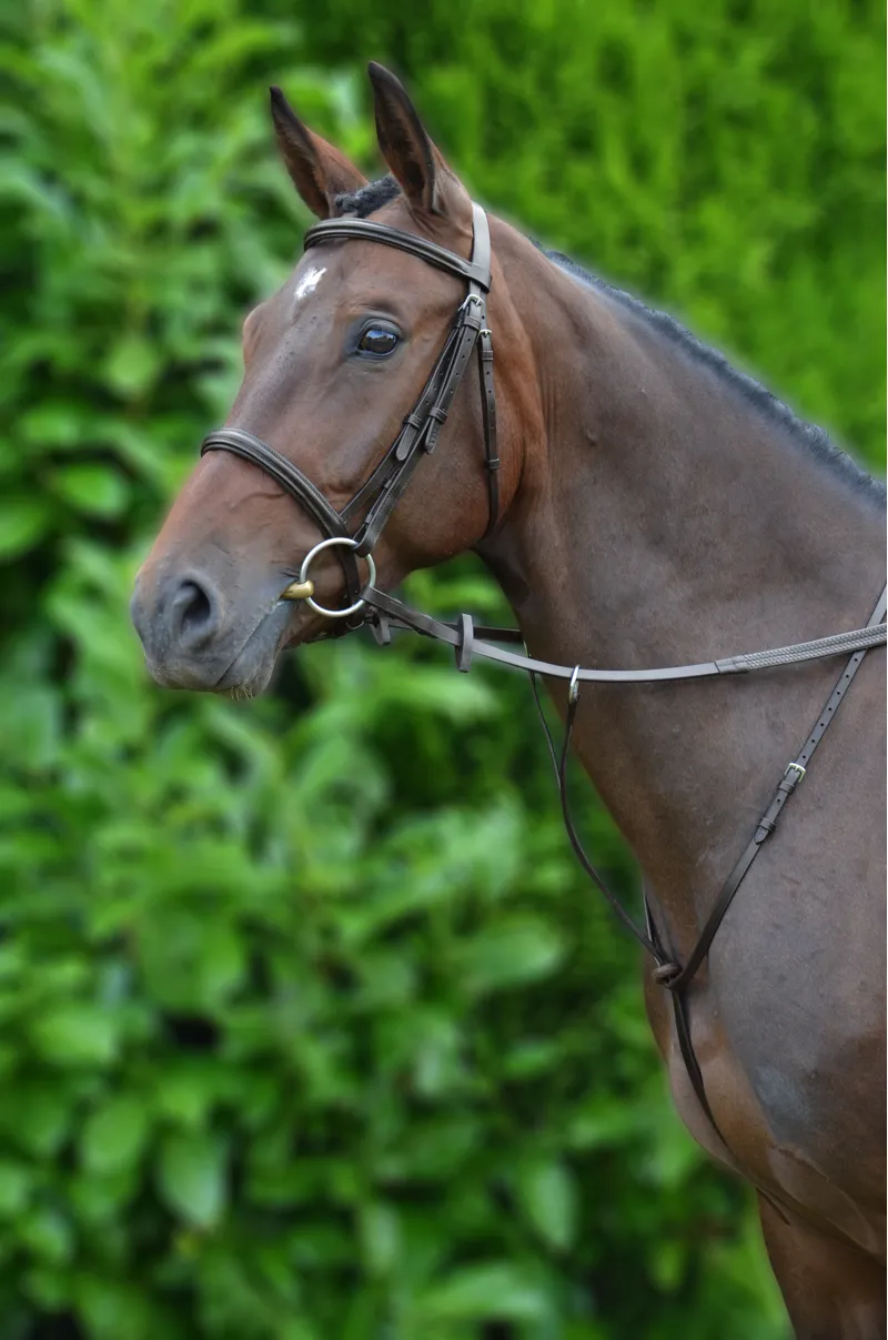 Hy Equestrian Running Martingale - Brown